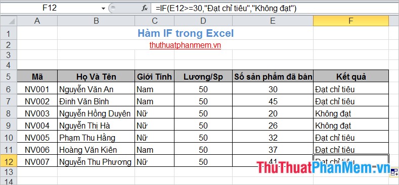 IF function in Excel Picture 4