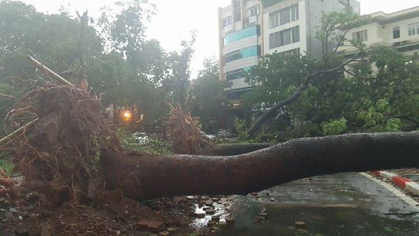 If the Earth swells twice, how will humans and plants and animals change? Picture 5