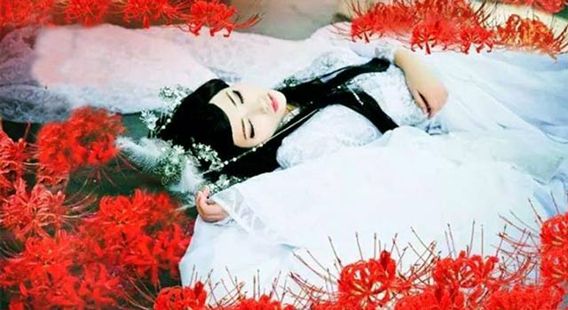 Image of the blossoming flower - Love is incomplete Picture 17