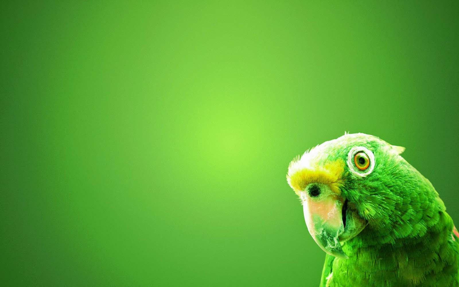 Image Powerpoint - - Collection of images for the most beautiful Powerpoint Picture 25