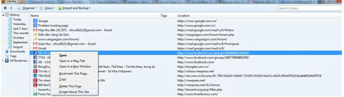 Improve Firefox browser speed with these tips Picture 12