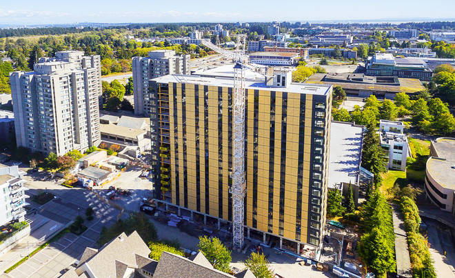 In the future, Wood is the only material to build skyscrapers, not concrete or steel Picture 7