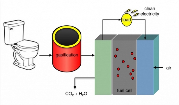 Incidentally: Used toilet paper can be recycled into electricity Picture 2