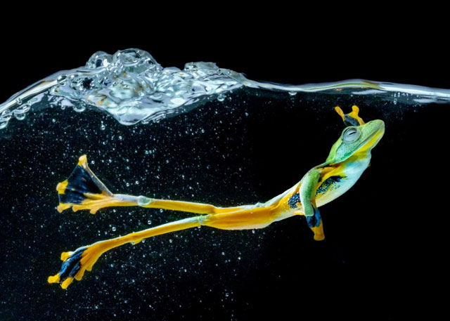 Incredible photos of the magic of motion Picture 4