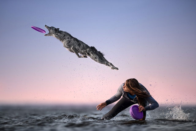 Incredible photos of the magic of motion Picture 5