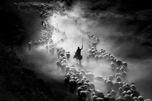 Incredible photos of the magic of motion Picture 8