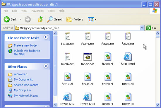 Information about Gpcode.ak virus Picture 10