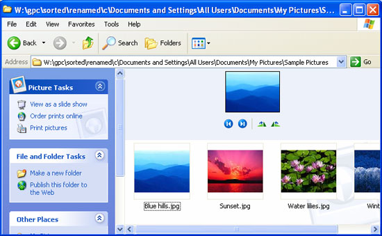 Information about Gpcode.ak virus Picture 12