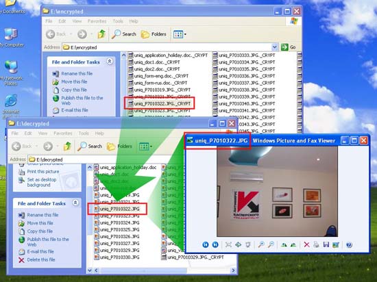 Information about Gpcode.ak virus Picture 14