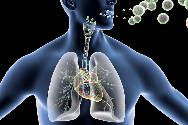 Inhaling a nanoparticle can prevent heart damage Picture 1