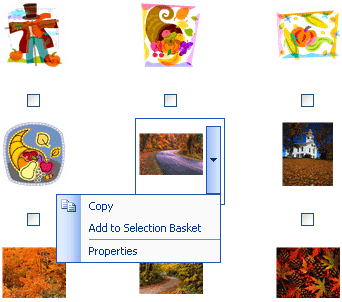 Insert images into text content Picture 15
