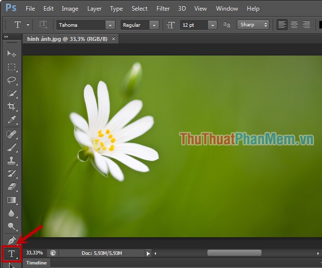 insert-text-into-photos-using-photoshop