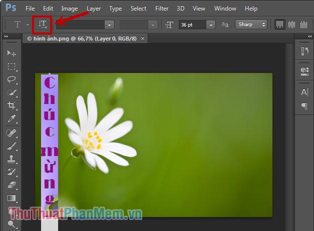 Insert text into photos using Photoshop Picture 6