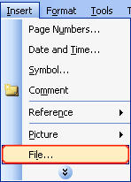 Insert the contents of 1 file.doc already in the open file content. Picture 1