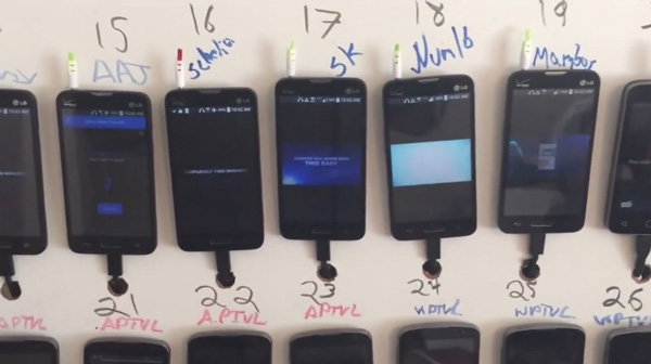 Inside China's 'planting view, planting' farms Picture 6