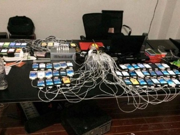 Inside China's 'planting view, planting' farms Picture 7