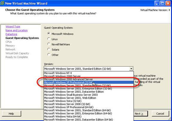 install-guest-operating-system-vmware-esx-server