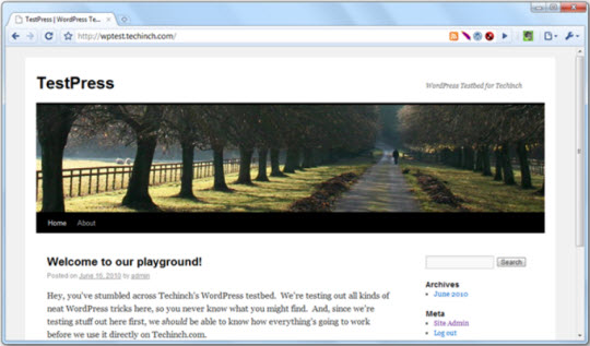 Install WordPress on the server with Softaculous support application Picture 11