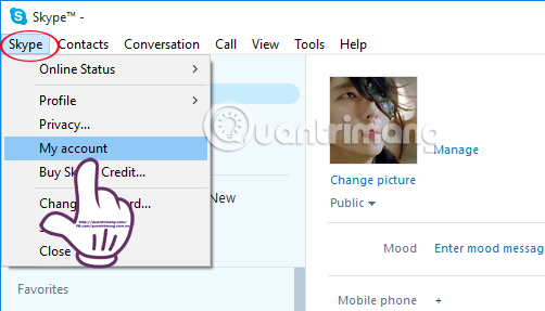 Instructions for changing personal information on Skype Picture 3