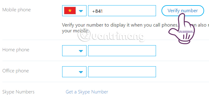 Instructions for changing personal information on Skype Picture 8