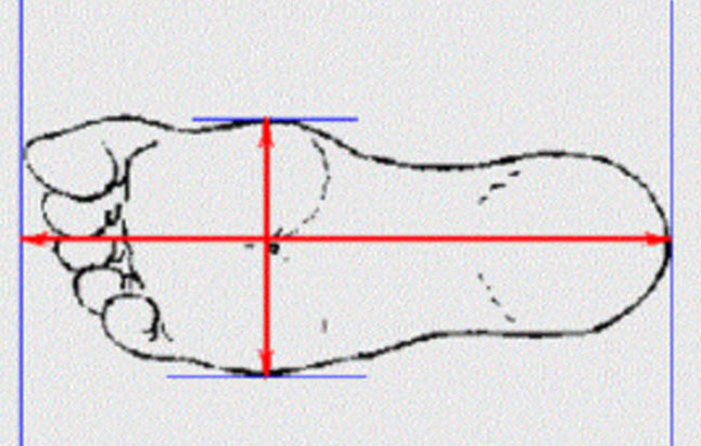 Instructions for choosing standard shoe size with every foot Picture 2