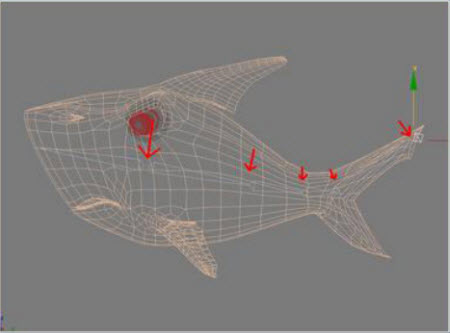 Instructions for creating animation-based shark models Picture 5