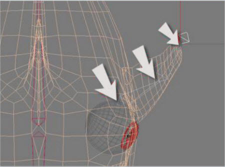 Instructions for creating animation-based shark models Picture 7