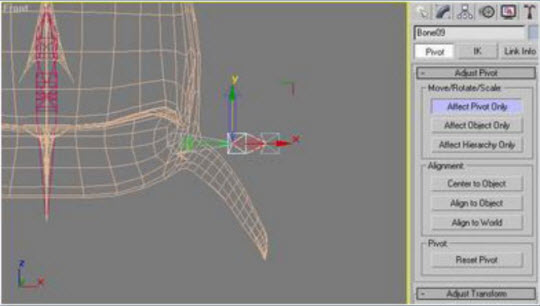 Instructions for creating animation-based shark models Picture 8