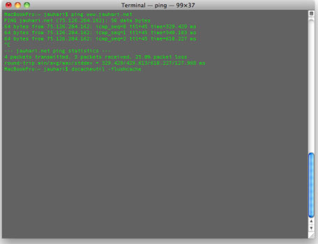 Instructions for deleting DNS on Windows Picture 9