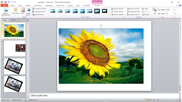 Instructions for inserting Pictures and Clip Art in PowerPoint Picture 4