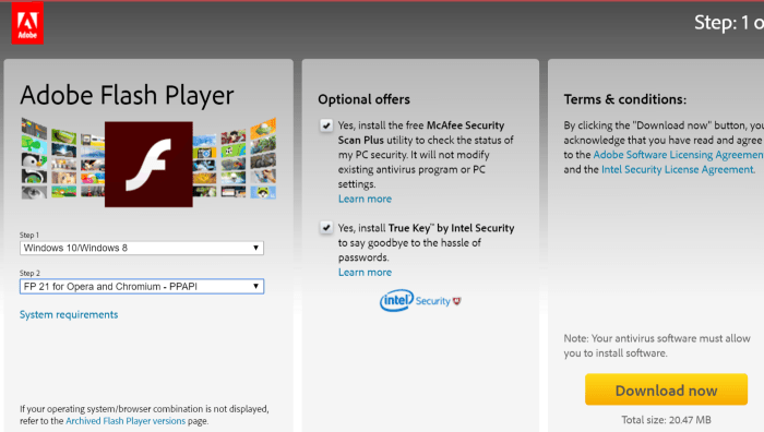 Instructions for installing Adobe Flash on Vivaldi browser Picture 3