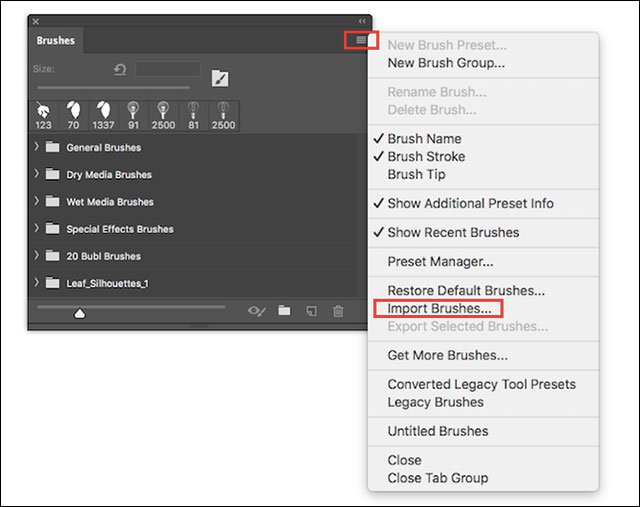 Instructions for installing Brush on Photoshop Picture 1