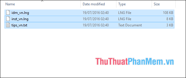 Instructions for installing Vietnamese for IDM for all versions Picture 1