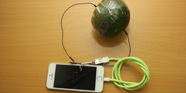 Instructions for making backup batteries from an orange, charging nearly 40% of the battery for iPhone Picture 9