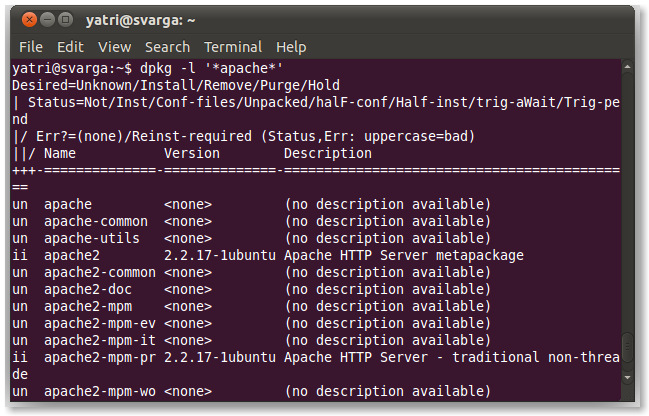 Instructions for managing programs in Ubuntu via the command line Picture 8
