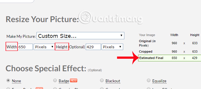 Instructions for resizing photos with Pic Resize online Picture 5