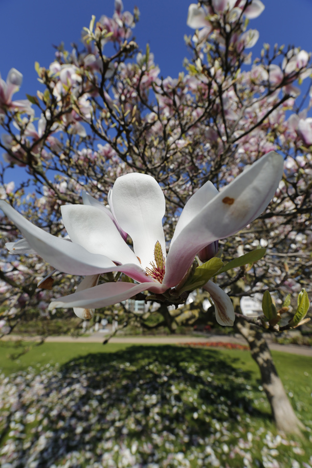 Instructions for setting basic parameters on the camera Picture 3