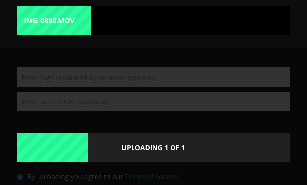 Instructions for sharing Live Photos on Facebook and Instagram Picture 5