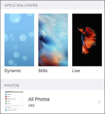 Instructions for taking live and animated photos on iPhone Picture 6