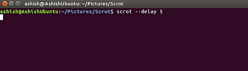 Instructions for taking screenshots of Linux computers Picture 13