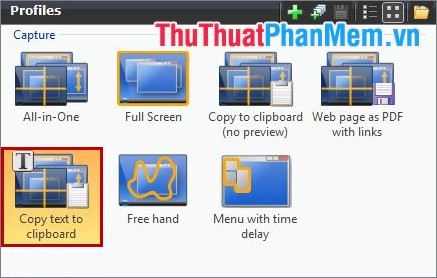 Instructions for taking screenshots with Snagit Picture 17