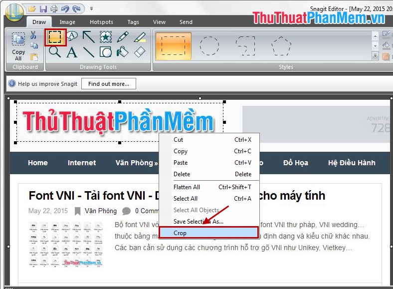 Instructions for taking screenshots with Snagit Picture 28