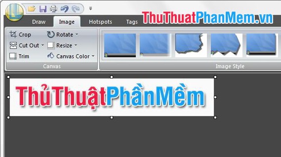 Instructions for taking screenshots with Snagit Picture 29