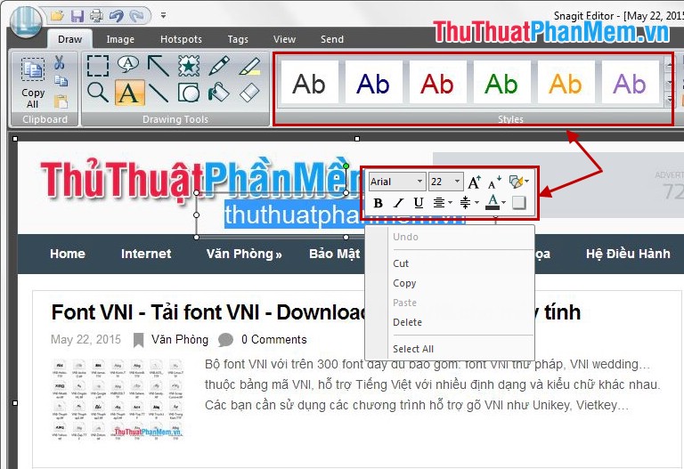 Instructions for taking screenshots with Snagit Picture 31
