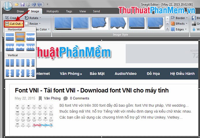 Instructions for taking screenshots with Snagit Picture 38