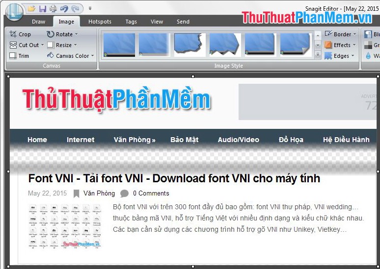 Instructions for taking screenshots with Snagit Picture 39