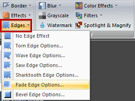 Instructions for taking screenshots with Snagit Picture 42