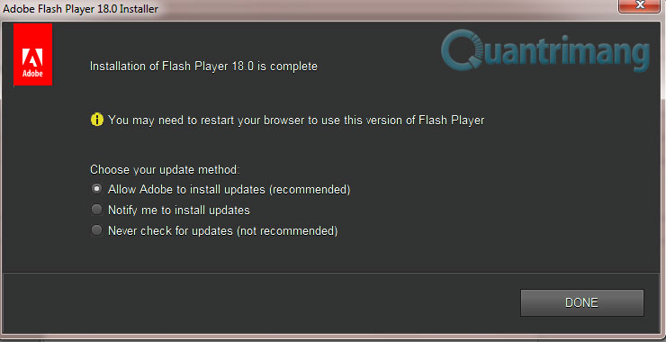 adobe flash player version check