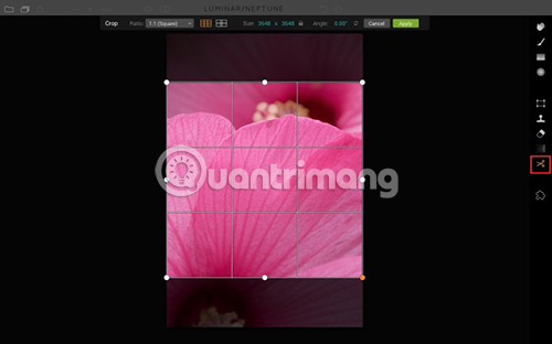 Instructions for using MacPhun Luminar for beginners Picture 13