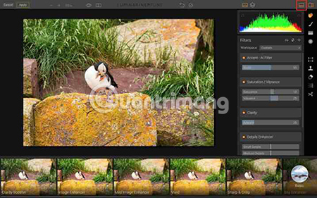 Instructions for using MacPhun Luminar for beginners Picture 6